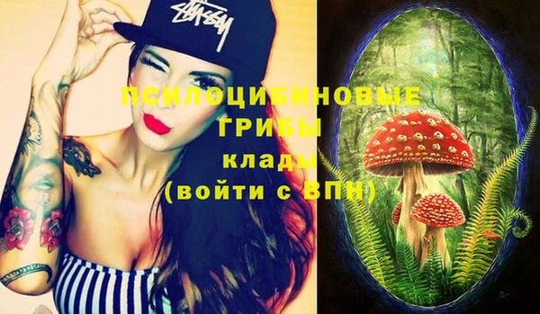 бутират Баксан